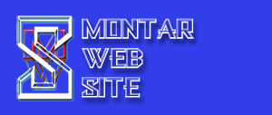 logoweb